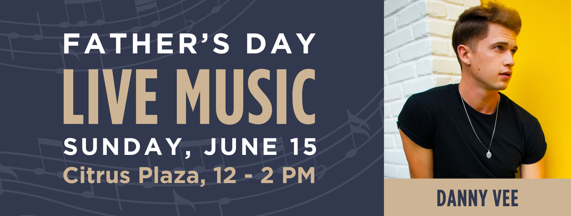 Danny Vee Father's Day Music